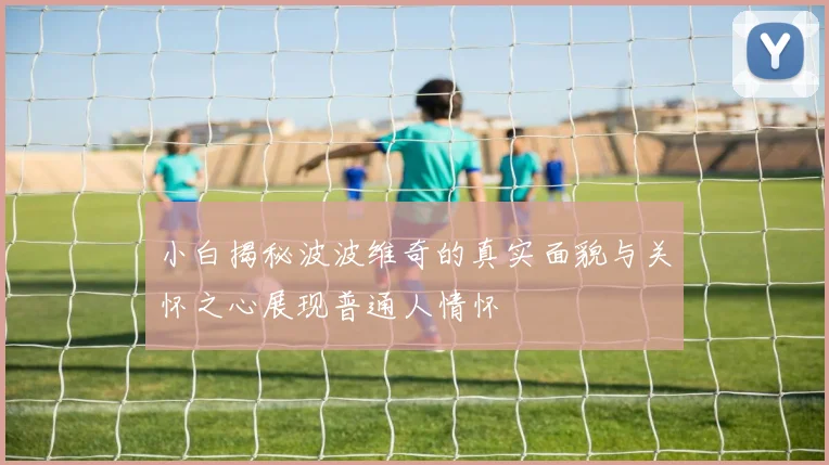 小白揭秘波波维奇的真实面貌与关怀之心展现普通人情怀